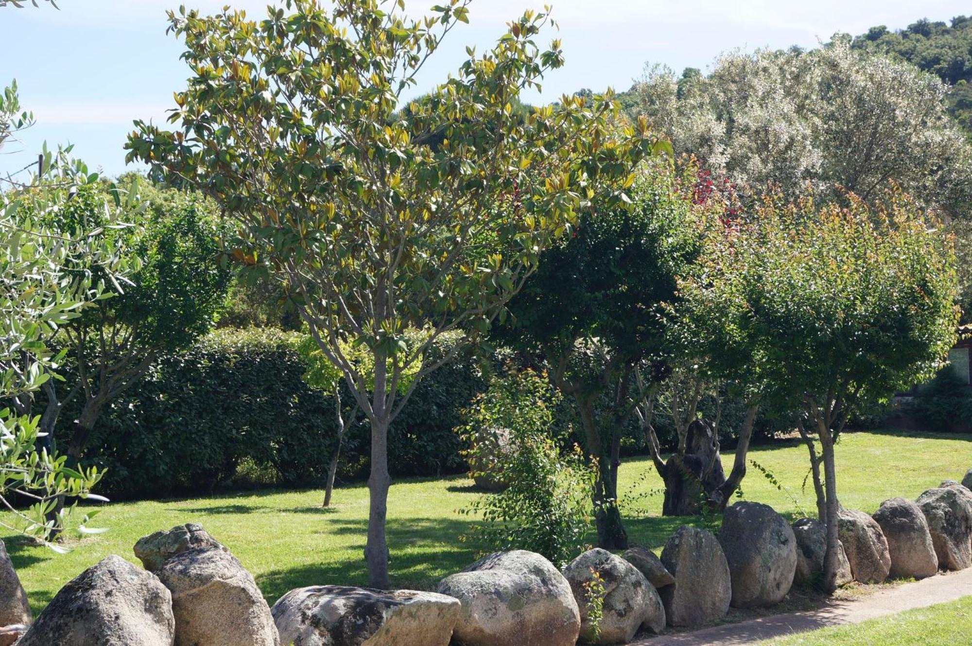 Les Jardins De Santa Giulia - Charmante Chambre D'Hote Porto-Vecchio  Exterior foto